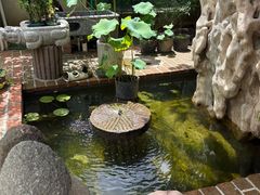 -老张烤羊(王哥庄店)