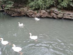 -兰亭风景区
