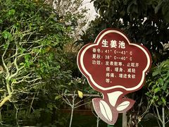 -大理地热国