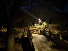-聚龙山公园