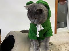 -艾贝尔宠物医院·24H转诊中心·肿瘤猫专科(江宁双龙店)
