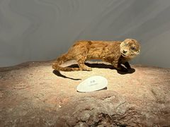 -中国湿地博物馆