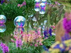 -人民公园(罗湖区)