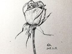 -八哥美术·成人美术画室(总校区)