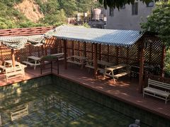 -Local泰莲庭(虹鳟鱼店)