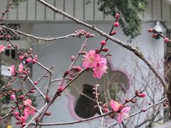 -无锡梅园公园