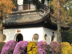 -汇龙潭