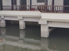 -金庸书院