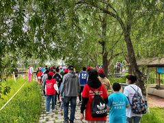 -白渔泡湿地公园