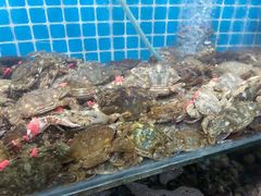 -叶存利海鲜大馅饺子(东戴河止锚湾店)