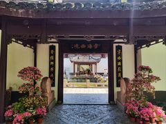 -上海醉白池公园