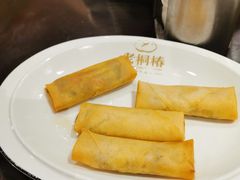 -老桐椿 · 上海大馄饨