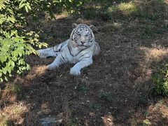 -石家庄市动物园