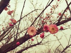 -河南省信阳市鄂豫皖革命纪念馆