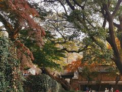 -青岛崂山太清宫