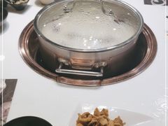 -洪氏嗨捞·猪肚鸡火锅(阳光天地店)