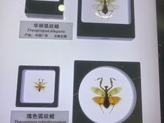 -上海昆虫博物馆