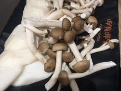 -呷哺呷哺 黄金牧场 (回龙观港龙店)