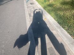 -云溪植物园