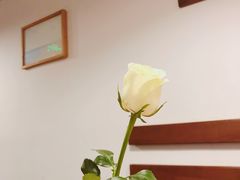 大堂-AFS Cafe & Canteen(闽江二路店)