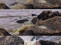 -上海滨江森林公园