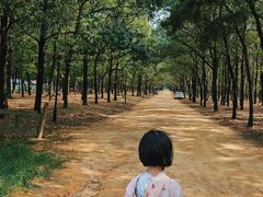 -东海森林温泉度假酒店