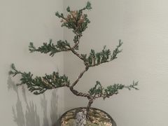 -小茶闲舍·观景商务茶馆(广州塔店)