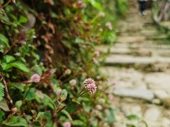 -侯家庄阿才有品私房菜馆