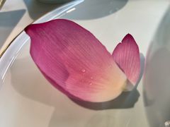 -重元寺香积厨素斋馆