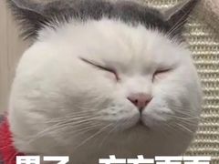 -吉友粥底火锅(方斜路店)