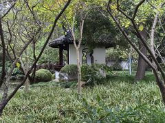 -秋霞圃