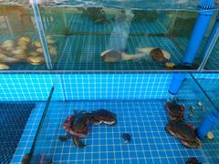 水产区-必点蒸汽海鲜(止锚湾店)