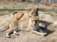 -北京野生动物园