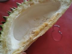 -都念榴莲·城市榴莲