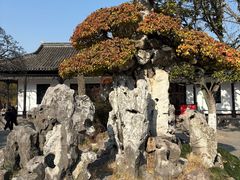-水绘园