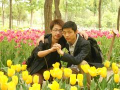 -洛阳郁金香牡丹园