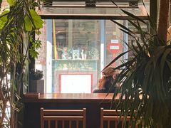 -CABO Coffee