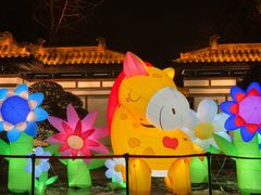 -武汉园博园(武汉自然博物馆)