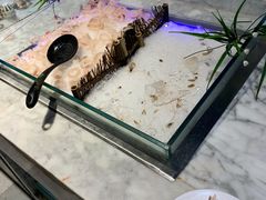 -火锅岛潮牌自助餐厅(天津天佑城店)