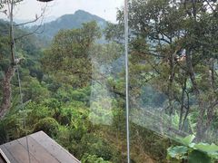 -槟城宝盛园民宿