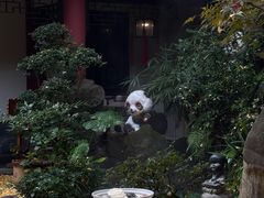 -钦善斋(武侯祠店)