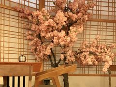 -汤泉良子.足疗按摩.SPA(中关村店)