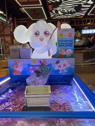 -卡通尼·Safari非洲探索乐园·生日会(金桥国际商业广场店)