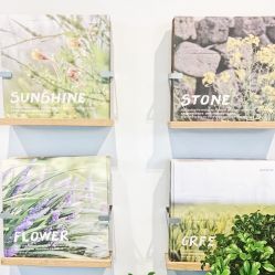 -悦诗风吟innisfree