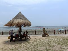 -北海金海湾红树林生态旅游区