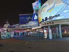 -海合安青岛极地海洋公园