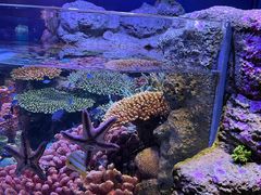 -暹罗海洋世界
