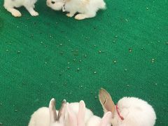 -仲盛世界商城