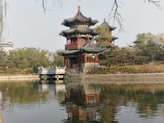 -迎泽公园