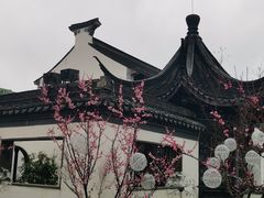 -红梅公园